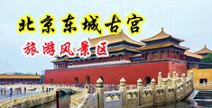 大鸡巴插骚逼福利视频中国北京-东城古宫旅游风景区